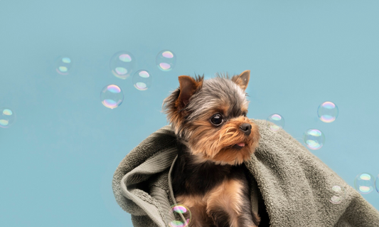 Hundehandtuch