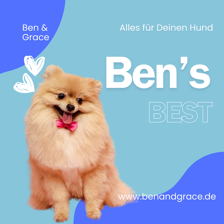 Ben’s Best – Ausgewählt. Geliebt. Getestet.