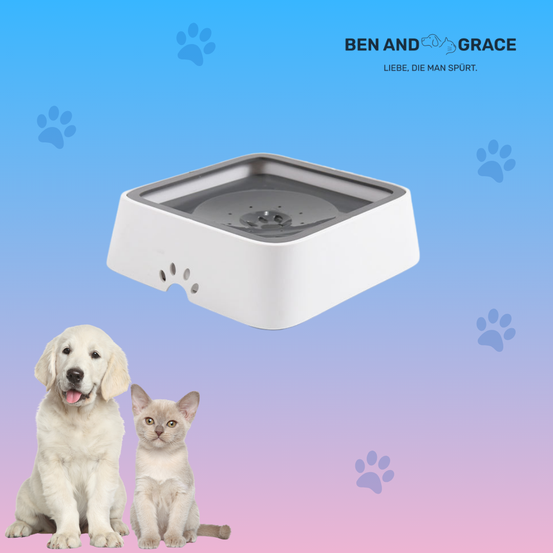 2L Wassernapf für Hunde & Katzen – Auslaufsicher mit Schwimmdeckel & langsamer Wasserzufuhr