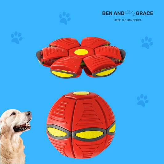 Magischer UFO-Ball