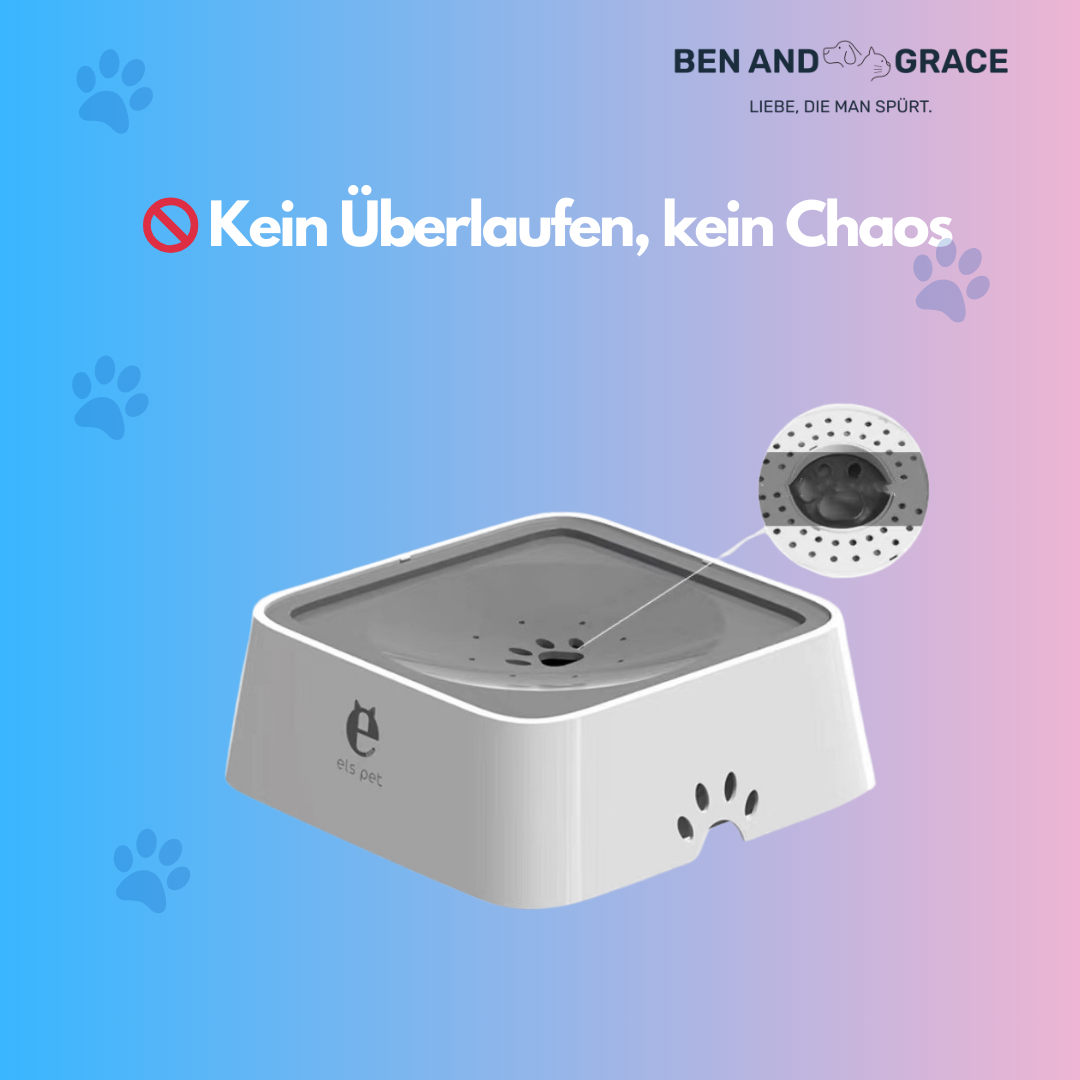 2L Wassernapf für Hunde & Katzen – Auslaufsicher mit Schwimmdeckel & langsamer Wasserzufuhr