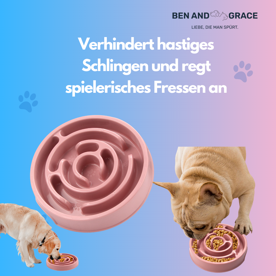 Anti-Schling Napf – Langsam Fressen gegen Verschlucken