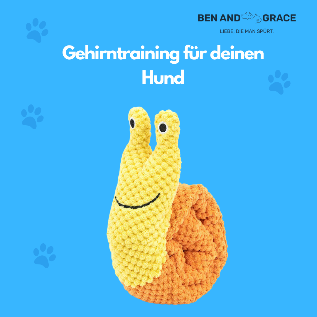 Kuscheliges Schnecken-Spielzeug – Fördert Gehirntraining & Futterspielspaß!