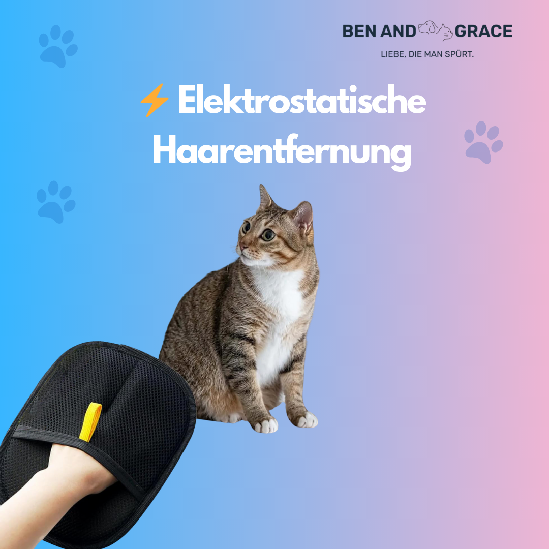 Fellpflege-Handschuhe für Haustiere – Zweiweg-Haarentfernung für Katzen & Hunde
