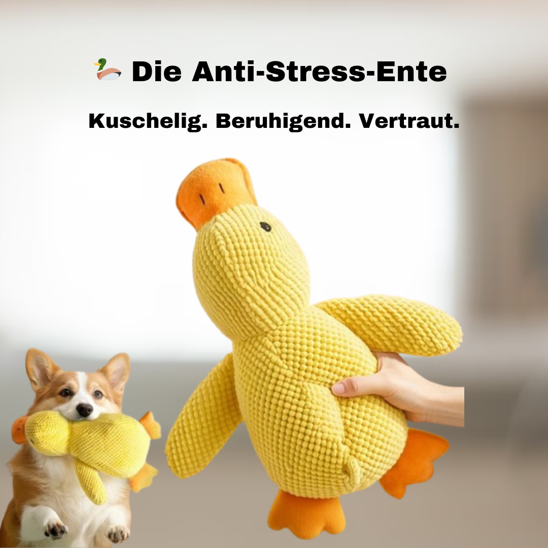 Anti-Stress-Ente für Hunde - Für mehr Ruhe, Geborgenheit und Wohlbefinden