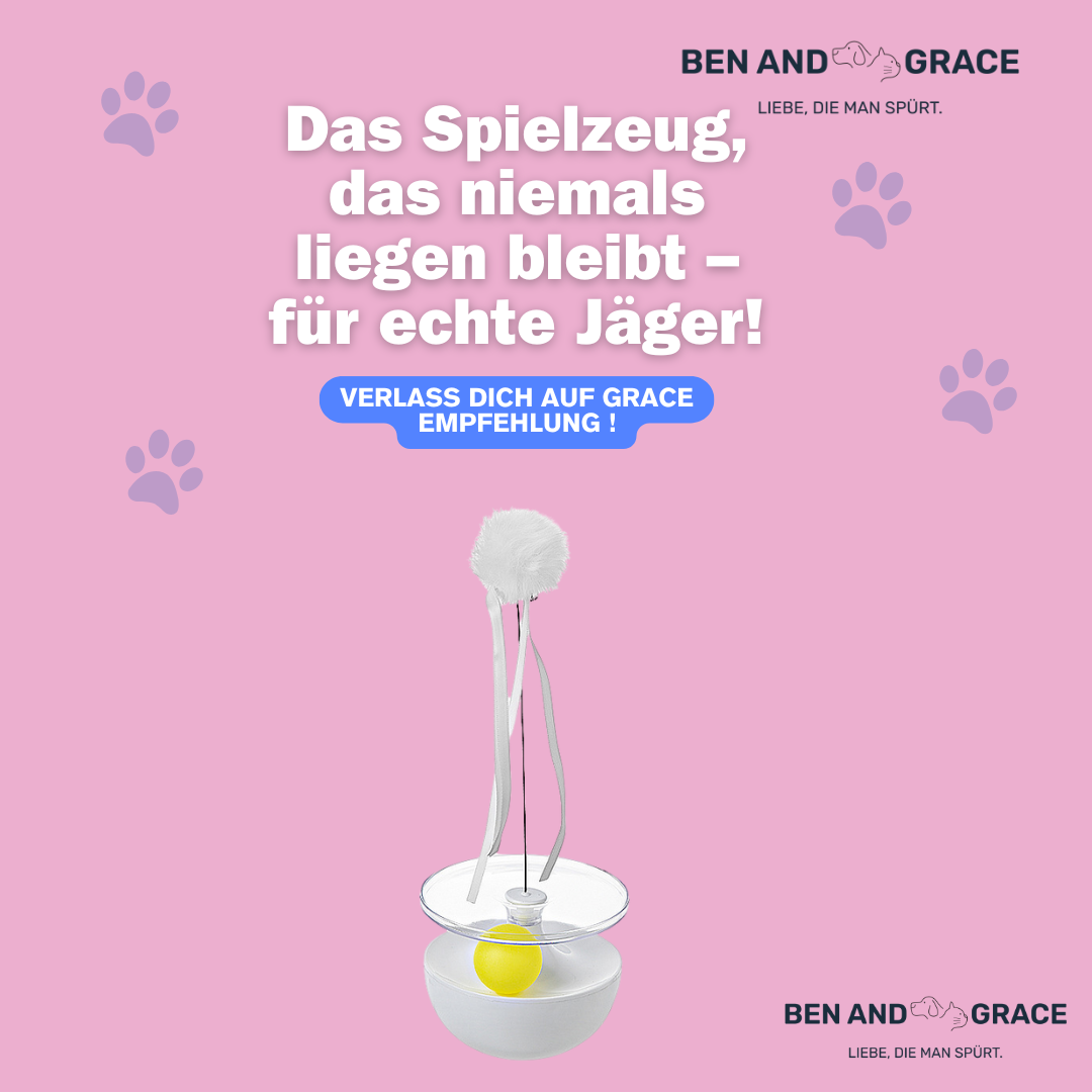 Katzenspielzeug – kippt um, steht wieder auf!