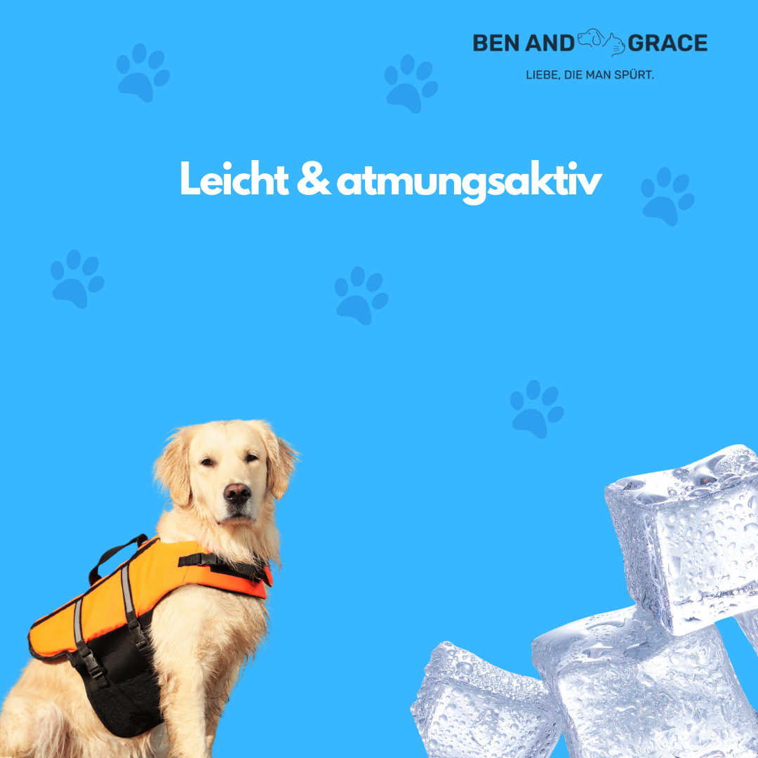 Kühlweste für Hunde – Frisch durch heiße Tage!