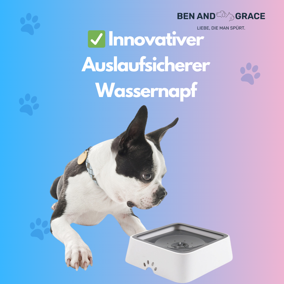 2L Wassernapf für Hunde & Katzen – Auslaufsicher mit Schwimmdeckel & langsamer Wasserzufuhr