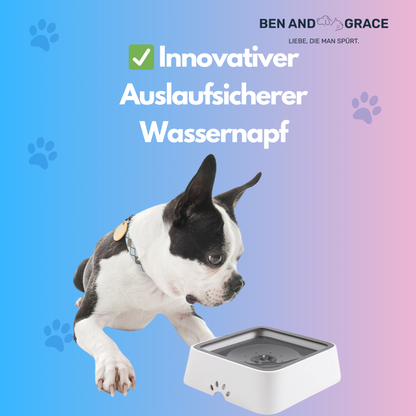 2L Wassernapf für Hunde & Katzen – Auslaufsicher mit Schwimmdeckel & langsamer Wasserzufuhr