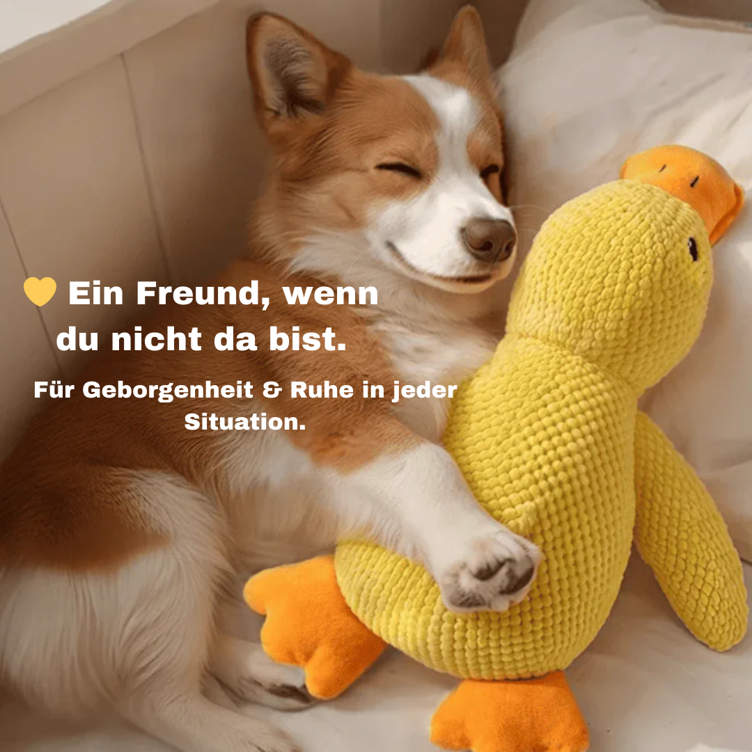 Anti-Stress-Ente für Hunde - Für mehr Ruhe, Geborgenheit und Wohlbefinden