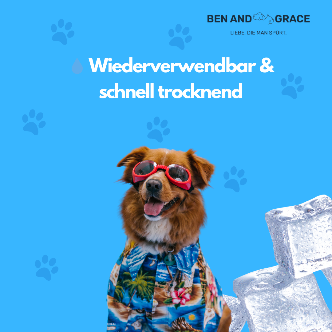 Kühlweste für Hunde – Frisch durch heiße Tage!