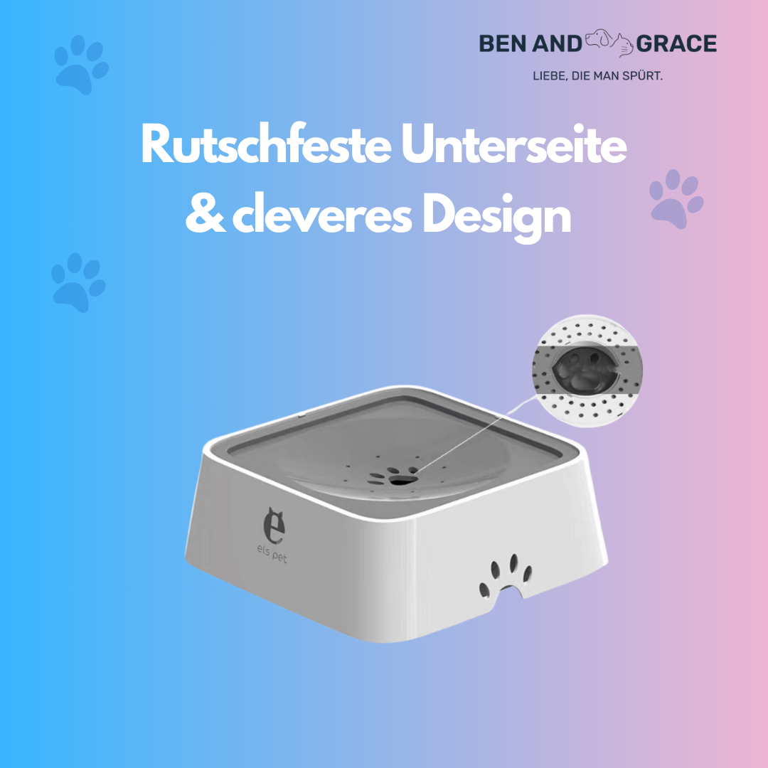 2L Wassernapf für Hunde & Katzen – Auslaufsicher mit Schwimmdeckel & langsamer Wasserzufuhr
