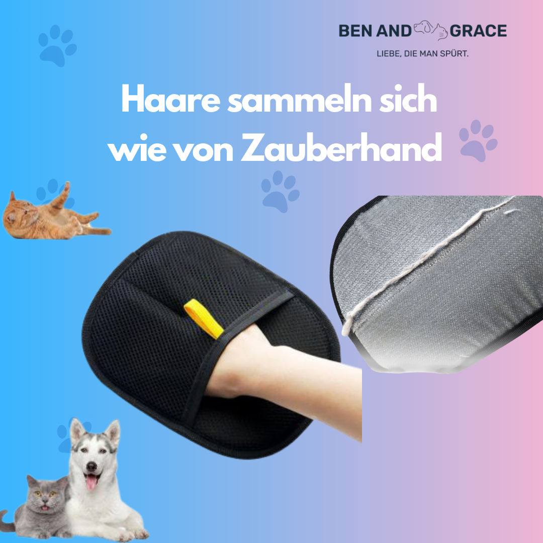 Fellpflege-Handschuhe für Haustiere – Zweiweg-Haarentfernung für Katzen & Hunde