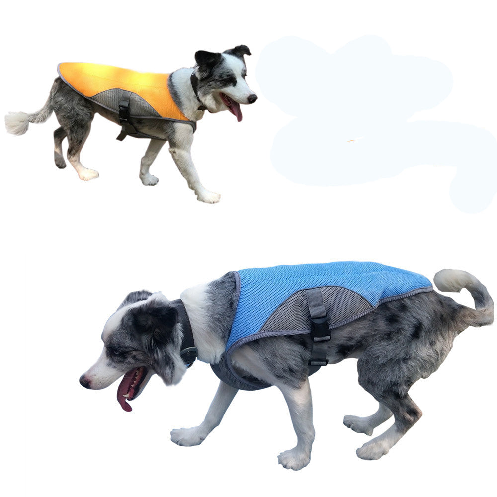 Kühlweste für Hunde – Frisch durch heiße Tage!