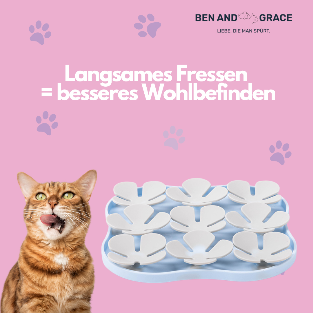 Schleckmatte  – Beruhigend & spielerisch füttern!