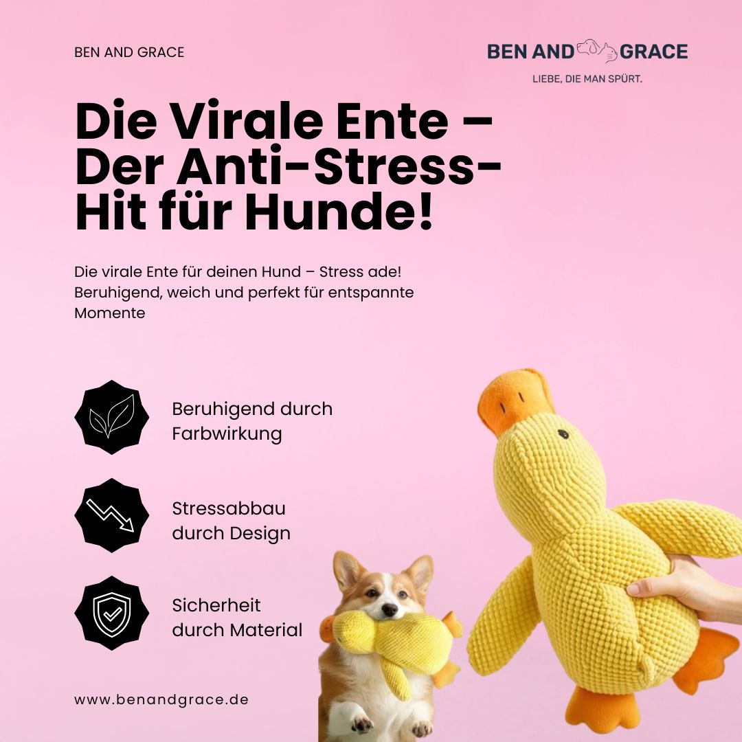 Anti-Stress-Ente für Hunde - Für mehr Ruhe, Geborgenheit und Wohlbefinden