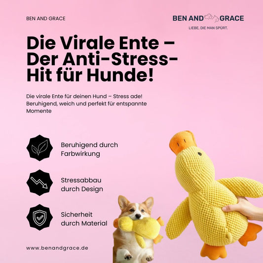 Anti-Stress-Ente für Hunde - Für mehr Ruhe, Geborgenheit und Wohlbefinden
