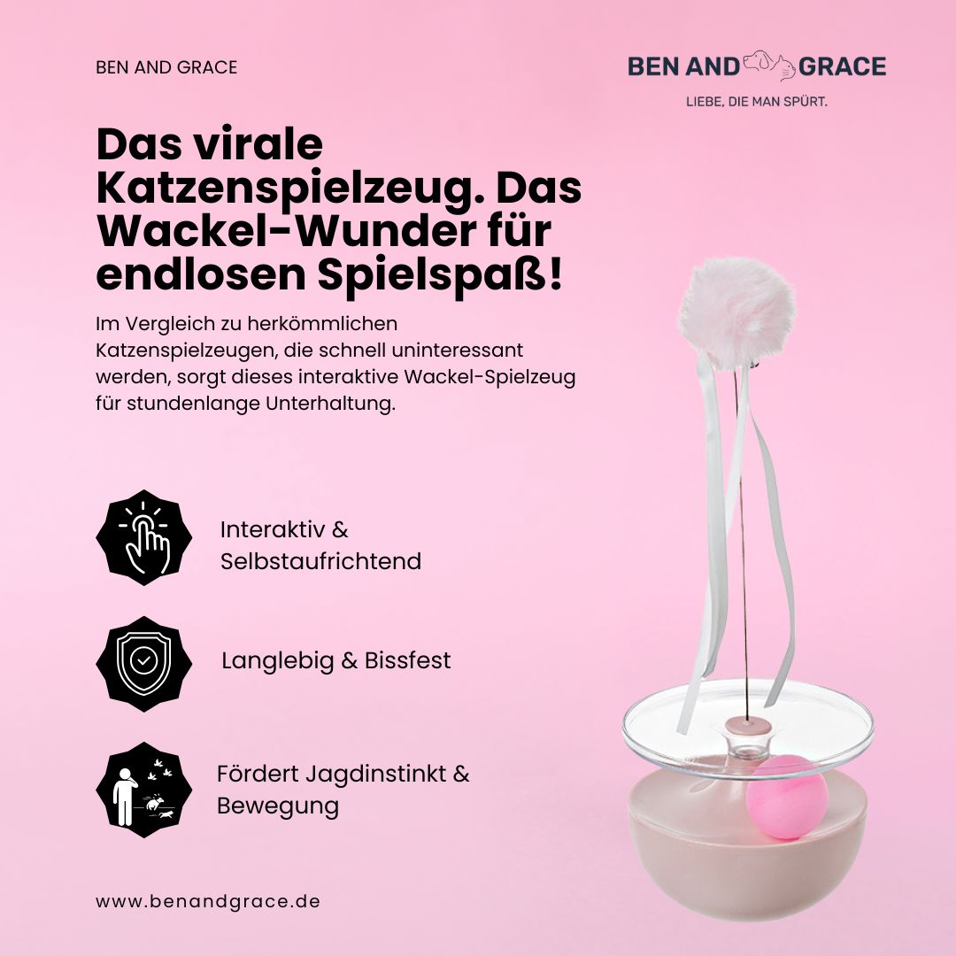 Katzenspielzeug – kippt um, steht wieder auf! - FluffyBrush