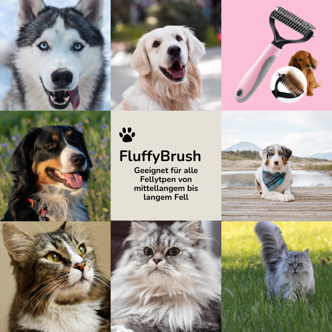 Die Lösung gegen Verfilzungen & Unterwolle 🐾 - FluffyBrush