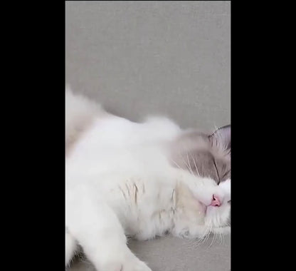 Katzenbürste zur Entfernung von Unterwolle